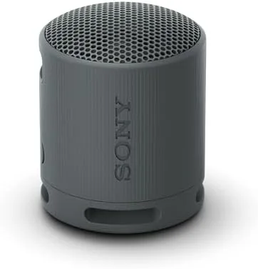 Sony SRS-XB100 Wireless Bluetooth Portable Speaker bluetooth speaker