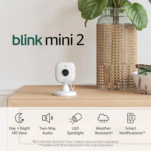 Blink Mini 2 Security Camera